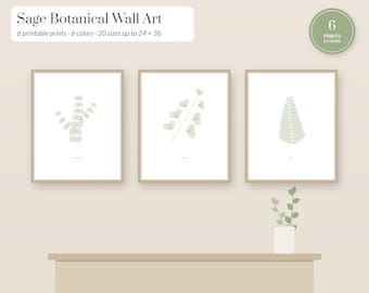 Sage Green Wall Art Printable Set of 6 in 6 Colors, Botanical Line Art Prints, Eucalyptus, Fern, Neutral Decor, 20 Sizes up to 24x36