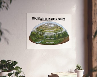 Mountain Elevation Zones Poster | Ecosystem Diagram for Classroom, Homeschool Science Wall Art