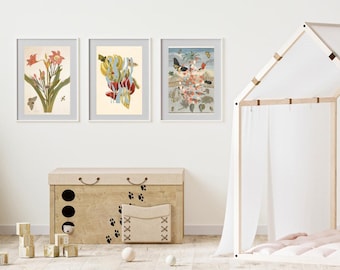Botanical Illustration Print Set – Vintage Natural History Art