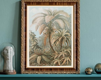 Curiosidades en Flor – Estudios Botánicos Antiguos / Conjunto de 3 Láminas