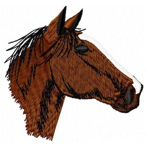 Horse Head Machine Embroidery Design - Instant Download