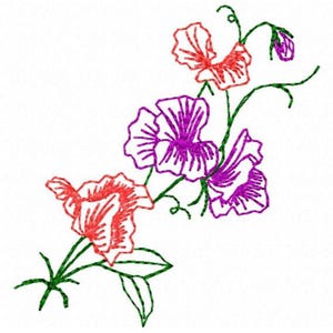 Sweet Pea Flower Embroidery Design - Instant Download