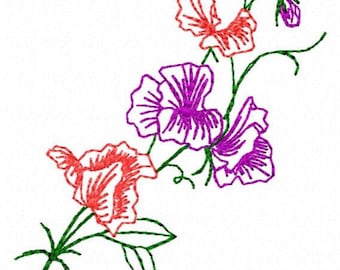 Sweet Pea Flower Embroidery Design - Instant Download