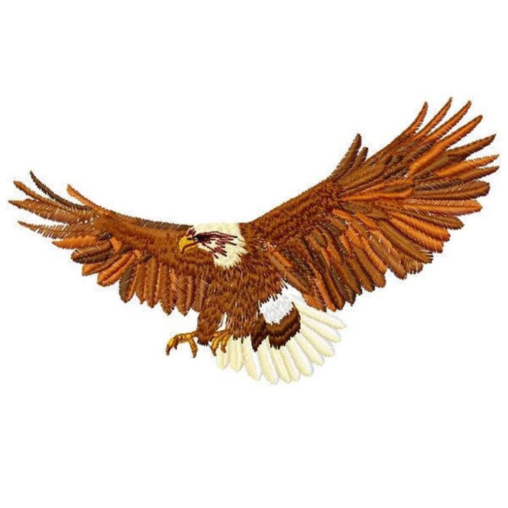 Eagle Machine Embroidery Design - Instant Download
