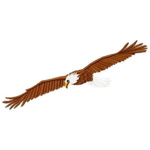 Soaring Eagle Machine Embroidery Design - Instant Download