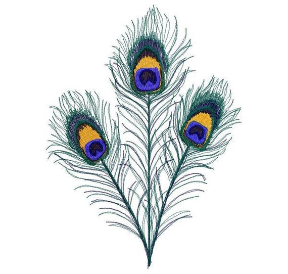 Plumas pavo real bordado diseño descarga inmediata - Etsy España Plumas pavo real bordado diseño descarga inmediata - Etsy España