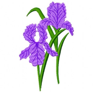Iris Embroidery Design - Instant Download