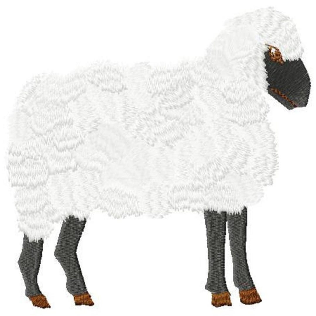 Large Sheep Machine Embroidery Design - Instant Download - Etsy