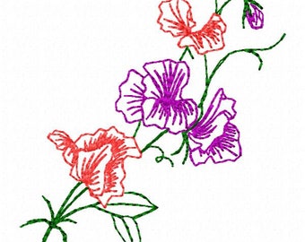 Sweet Pea Flower Embroidery Design - Instant Download