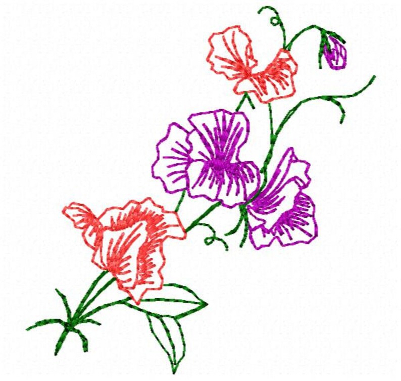 Sweet Pea Flower Embroidery Design Instant Download Etsy