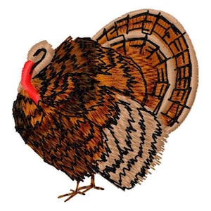 Turkey Machine Embroidery Design - Instant Download