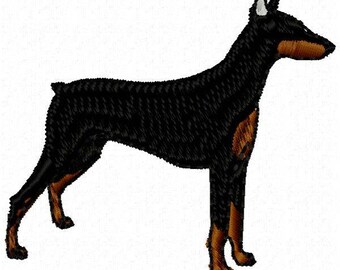 Doberman Dog Machine Embroidery Design - Instant Download