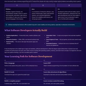 May include: A dark purple infographic titled "Path B: Software Development" details software development, highlighting Python, Java, and C#. It lists what developers build, such as desktop apps and automation tools, and a learning path.