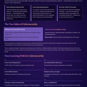 May include: A diagram titled "Path E: Cybersecurity" detailing a learning pathway. It covers networking, Linux, security tools, and the two cybersecurity approaches: offensive (red team) and defensive (blue team). Includes text and bullet points.