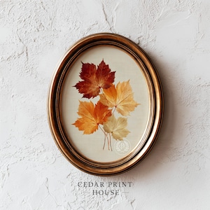 May include: An oval-shaped wall art piece featuring a botanical illustration of four maple leaves in shades of deep red, orange, and cream. The artwork is encased in a polished bronze-toned frame and includes the text Cedar Print House.