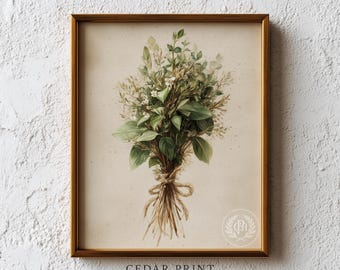 Rustic Wild Herb Bundle Printable Art, Cottagecore Botanical Illustration, Neutral Farmhouse Decor, Watercolor Wall Art, Digital Download