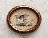 Item from this shop
