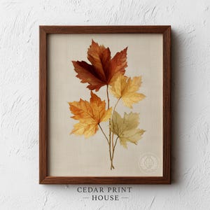 May include: A framed wall art print featuring a botanical illustration of four maple leaves in shades of deep red, golden yellow, and pale beige. The artwork is encased in a dark brown wooden frame with a textured, off-white background.