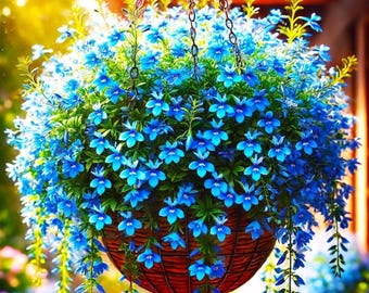 Lobelia Blue Cascade Seeds Bodembedekkende bloem