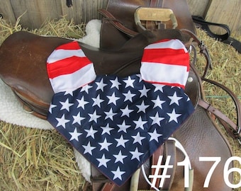 Patriotic Bonnets in Horses