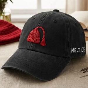 Melt the Ice Hat bestickter Hut, Minnesota Flaggen-Unterstützhut, Red Hat-Protesthut, An.ti ICE-aktivismus-Hut, Einwanderungsgerechtigkeit