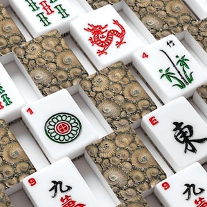 Ammonite Mahjong Set, Fossil Acrylic Game Tiles, Natural Decorative Mah Jongg Gift immagine 1