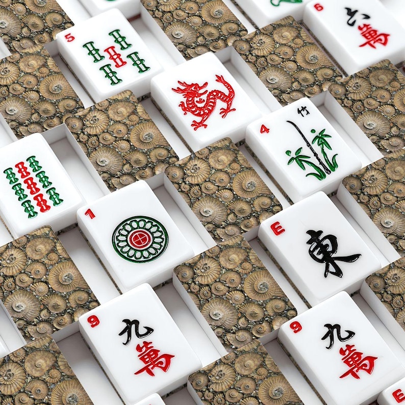 Ammonite Mahjong Set, Fossil Acrylic Game Tiles, Natural Decorative Mah Jongg Gift immagine 1
