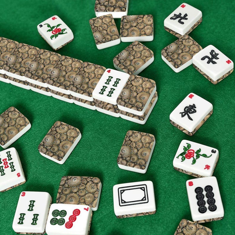 Ammonite Mahjong Set, Fossil Acrylic Game Tiles, Natural Decorative Mah Jongg Gift immagine 7