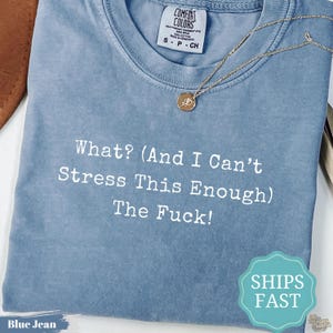 Comfort Colors® What And I Cant Stress This Enough The Fuck グラフィックTシャツ、下品なユーモアシャツ、大胆なステートメントTシャツ、彼女への面白いギフト