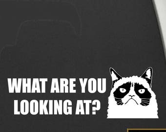 Vehicle Decal - What Are You Looking At, Grumpy Cat - Funny Car Stickers - VWAQ