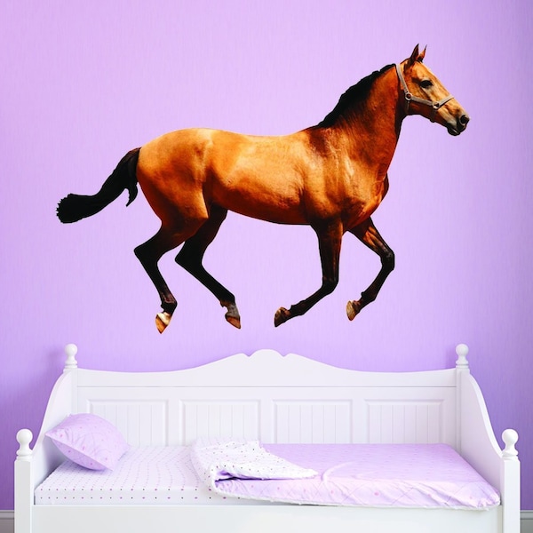 Horse - Peel And Stick Vinyl Wall Decals | Pony Wall Sticker - Stallion Wall Art - Reusable Fabric Decal - VWAQ-PAS22