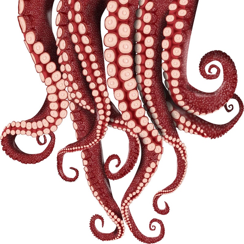 the kraken pop vinyl