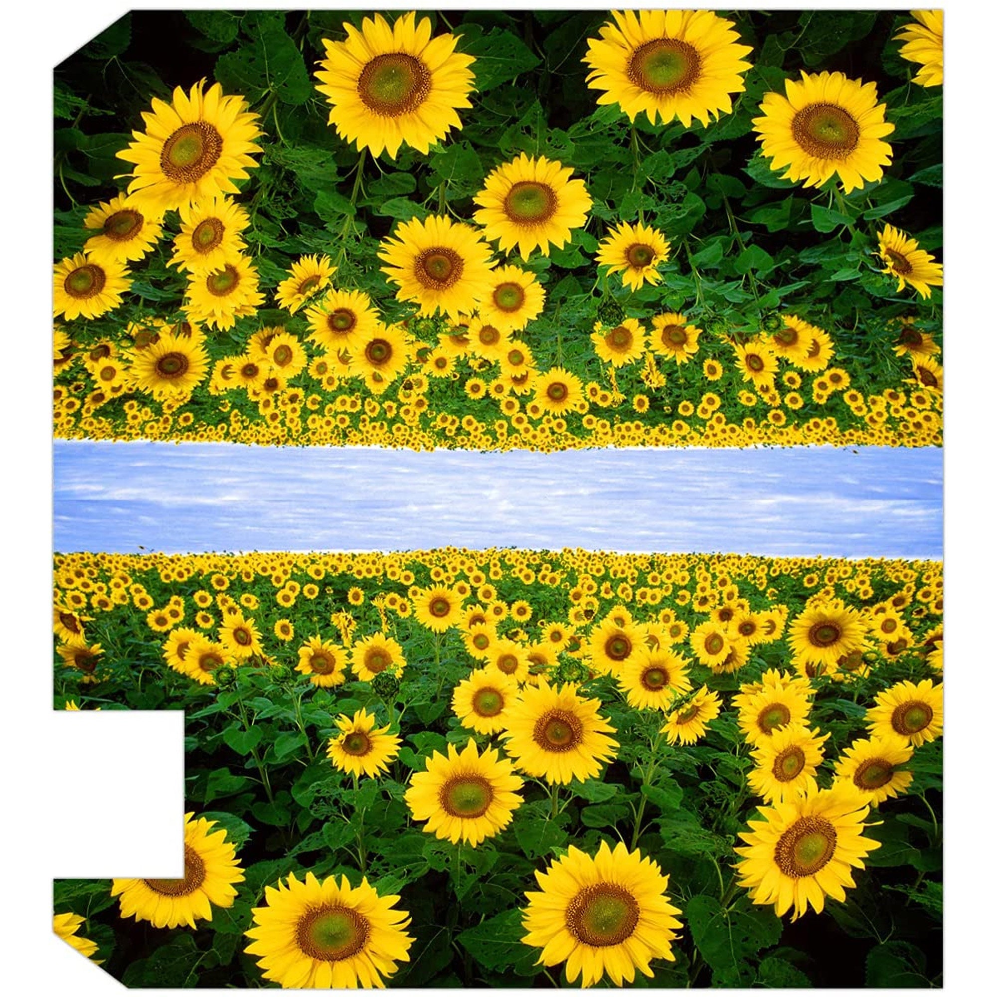 MOFEIYUE Butterfly Floral Sunflower Magnetic Mailbox Cover for Home Garden Yard Deco Makeover Mail Wrap MOFEIYUE Butterfly Floral Sunflower Magnetic Mailbox Cover for Home Garden Yard Deco Makeover Mail Wrap