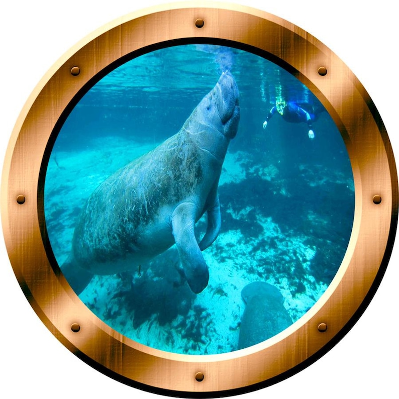 Underwater Manatee Window Porthole Wall Decal Peel and Stick - VWAQ ...