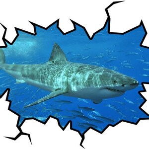 以下が含まれることがあります： 青い海で、小さな魚の群れの中を大きなシロワニザメが泳いでいます。サメは画像の右側を向いており、口を少し開けています。画像はギザギザの黒い枠で囲まれています。