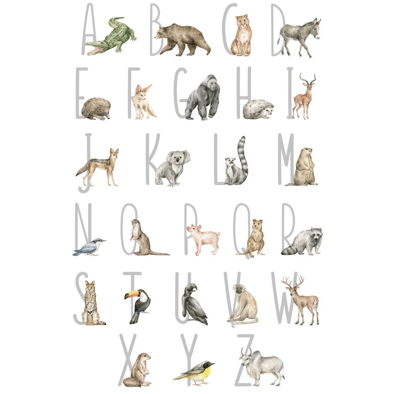 Alphabet With Animals Nursery Vinyl Wall Sticker Kids Room Decor Decal ...