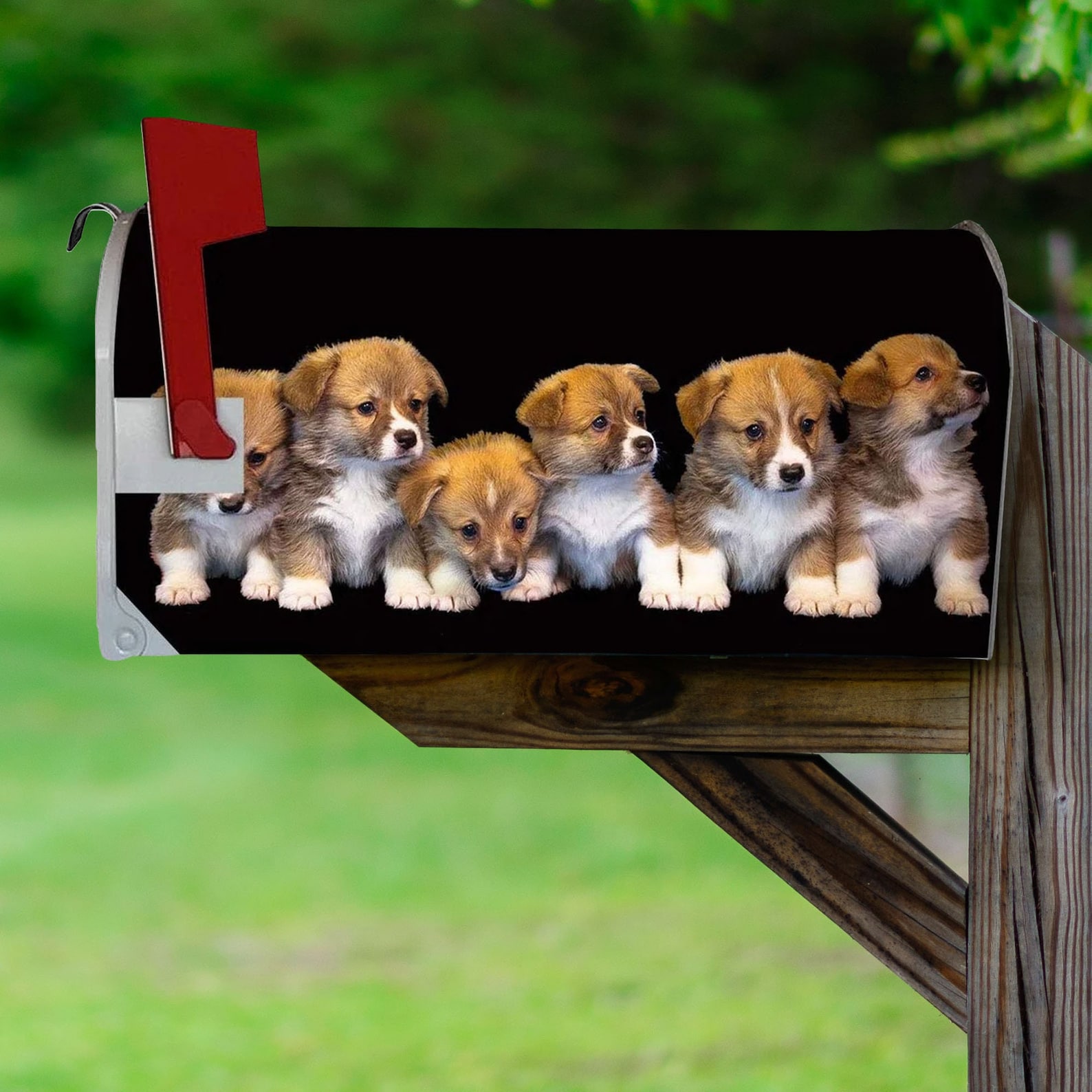Puppy Mailbox Covers Dogs Mailbox Wraps Decor Etsy Italia