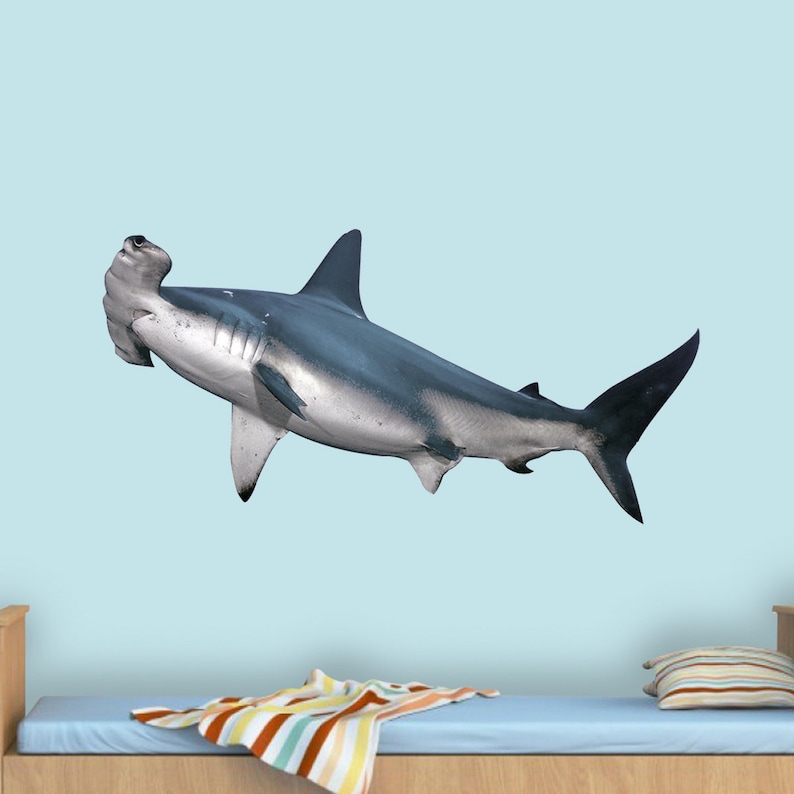 Shark Wall Decal Hammerhead Shark Wall Art Decor Ocean Etsy