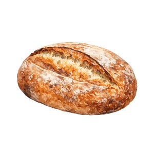 May include: A loaf of artisan bread with a golden-brown crust and a light, airy interior. The bread has a rustic appearance, with a crack down the center and a dusting of flour on the surface. The bread is oval-shaped and appears freshly baked.