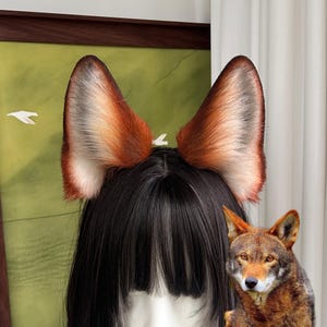 May include: A pair of upright, pointed animal ears featuring a gradient of dark brown, reddish-orange, and cream-colored faux fur. The ears are attached to a black wig with straight hair and bangs, positioned next to a small image of a brown wolf.