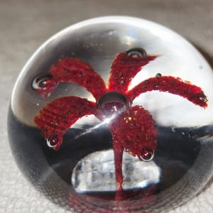 May include: A clear glass paperweight with a red, flower-like design encased inside. The red design has a textured appearance with small dark spots. The paperweight is round and sits on a white surface.