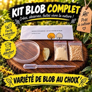 Kit para cultivo de bolor mucilaginoso – Physarum polycephalum – kit de laboratório doméstico para ciências educativas – Schleimpilz
