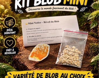 Mini Blob Slijmzwam Kweekset – Physarum polycephalum – Ontdekkingsset / Blob Kweekset / Wetenschappelijk Experiment / Educatief Cadeau