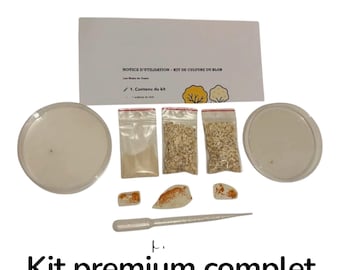 Blob slime mold cultivation kit L -physarum polycephalum-science experiment