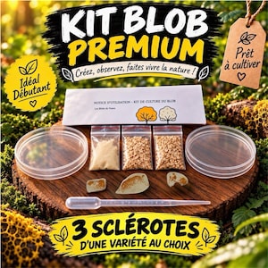 Peut inclure: Un kit de culture de blob comprenant deux boîtes de Pétri en plastique transparent, trois sachets de nourriture, trois sclérotes et une pipette en plastique. Une notice d'utilisation blanche est incluse avec le texte KIT BLOB PREMIUM.