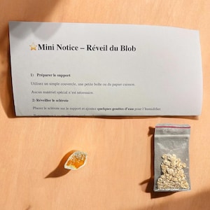 Op de afbeelding: Op een perzikroze ondergrond liggen een wit papier met Franse tekst, een klein oranje-wit object en een doorzichtige plastic zak gevuld met beige korrels. Op het papier staat "Mini Notice - Réveil du Blob."