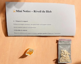 Mini Blob Slime Mold Odlingskit – Physarum polycephalum – Upptäcktskit / Blob Culture Kit / Vetenskapligt experiment / Pedagogisk gåva