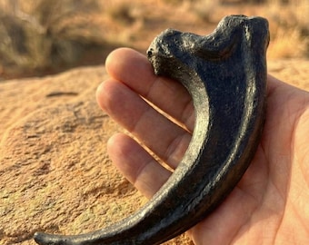Jurassic Park Inspired Velociraptor Claw Replica, 6” 3D Printed Dinosaur Claw