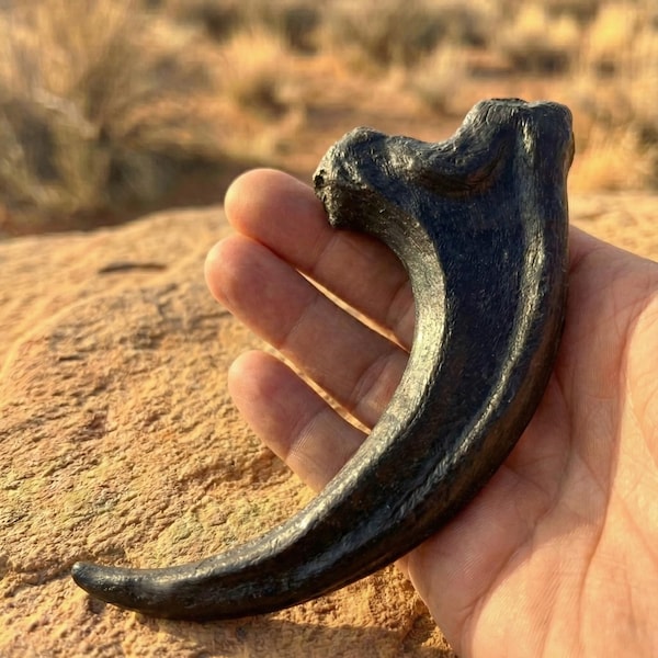 Jurassic Park Inspired Velociraptor Claw Replica, 6” 3D Printed Dinosaur Claw