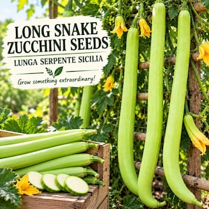 Pode incluir: Longas abobrinhas serpente verde-claras penduradas numa treliça de madeira e empilhadas numa caixa de madeira. O texto diz: LONG SNAKE ZUCCHINI SEEDS LUNGA SERPENTE SICILIA Grow something extraordinary! Várias rodelas de abobrinha são visíveis.